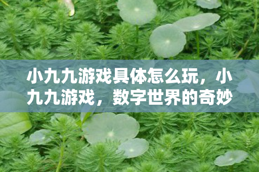 小九九游戏具体怎么玩，小九九游戏，数字世界的奇妙冒险