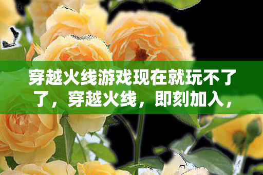 穿越火线游戏现在就玩不了了图片