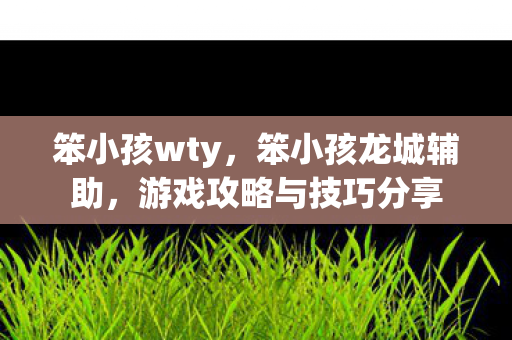 笨小孩wty，笨小孩龙城辅助，游戏攻略与技巧分享
