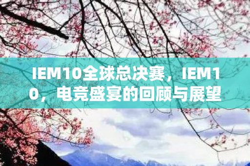 IEM10全球总决赛，IEM10，电竞盛宴的回顾与展望