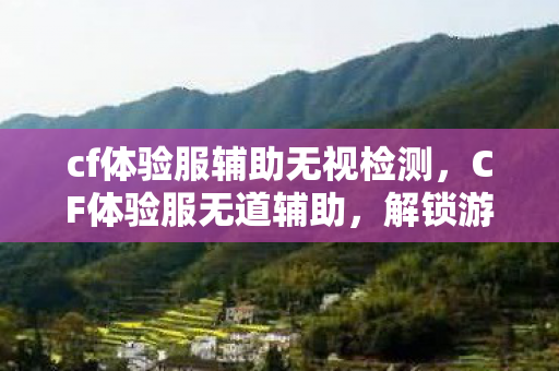 cf体验服辅助无视检测，CF体验服无道辅助，解锁游戏新体验，还是触碰红线？