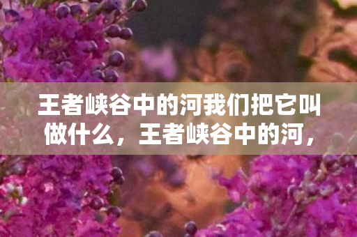王者峡谷中的河我们把它叫做什么，王者峡谷中的河，流淌的传奇与战略意义