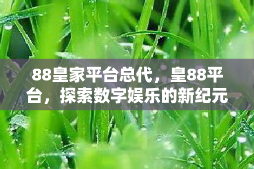 88皇家平台总代，皇88平台，探索数字娱乐的新纪元