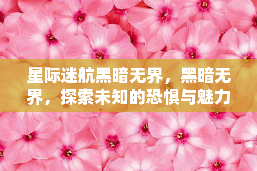 星际迷航黑暗无界，黑暗无界，探索未知的恐惧与魅力