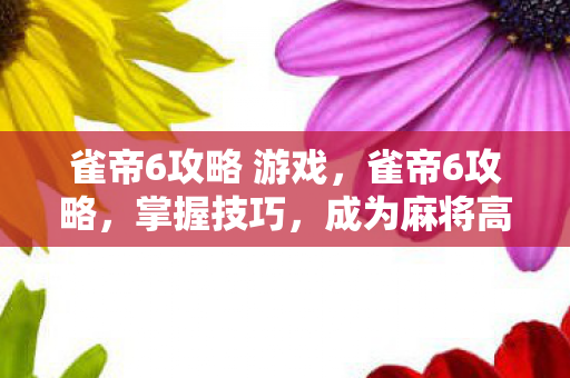 雀帝6攻略 游戏，雀帝6攻略，掌握技巧，成为麻将高手