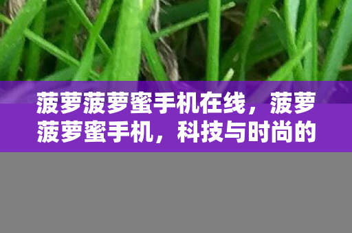 菠萝菠萝蜜手机在线，菠萝菠萝蜜手机，科技与时尚的完美融合