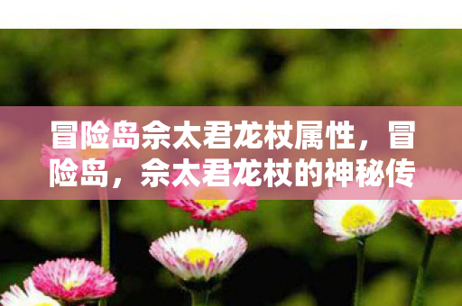 冒险岛佘太君龙杖属性图片