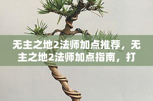 无主之地2法师加点推荐，无主之地2法师加点指南，打造强大的魔法师