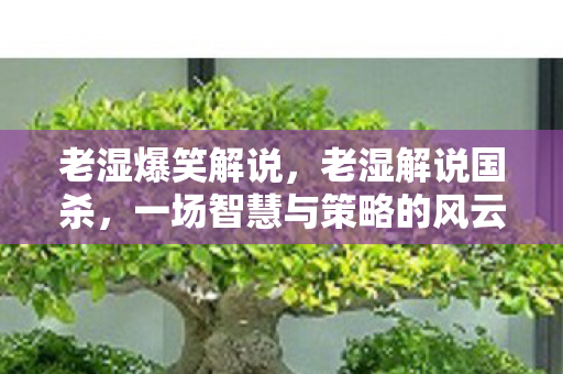 老湿爆笑解说，老湿解说国杀，一场智慧与策略的风云对决
