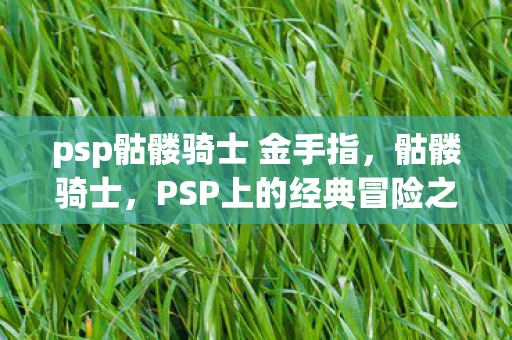 psp骷髅骑士 金手指，骷髅骑士，PSP上的经典冒险之旅