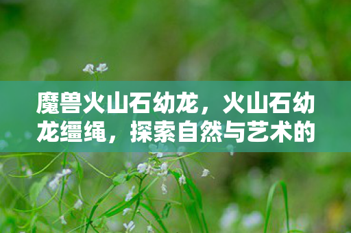 魔兽火山石幼龙，火山石幼龙缰绳，探索自然与艺术的奇妙结合