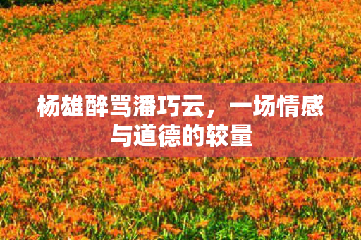 一场情感与道德的较量图片