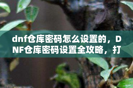 dnf仓库密码怎么设置的图片