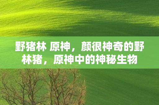 颜很神奇的野林猪图片