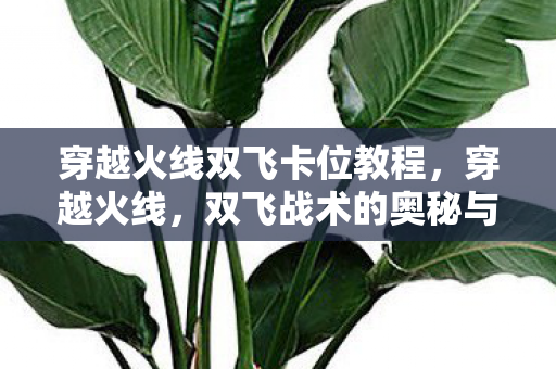 双飞战术的奥秘与实战应用图片