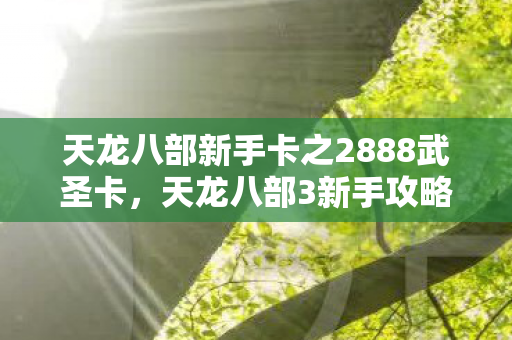 天龙八部新手卡之2888武圣卡，天龙八部3新手攻略，轻松上手，畅游武侠世界！