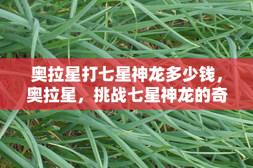 奥拉星打七星神龙多少钱图片