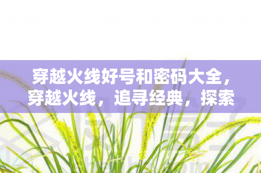 穿越火线好号和密码大全图片