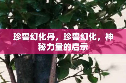 珍兽幻化丹，珍兽幻化，神秘力量的启示