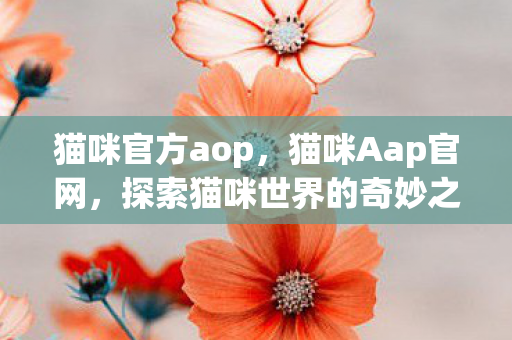 探索猫咪世界的奇妙之旅图片