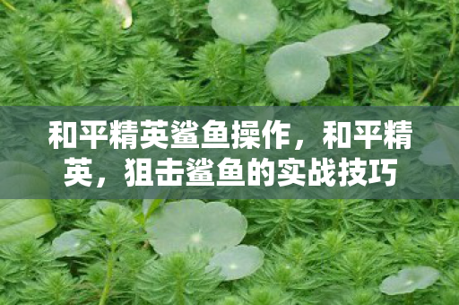 狙击鲨鱼的实战技巧图片