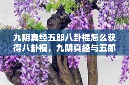 九阴真经五郎八卦棍怎么获得八卦棍图片