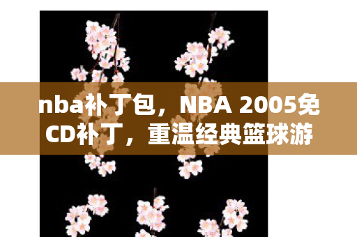 NBA 2005免CD补丁图片