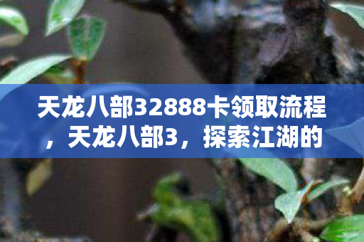 天龙八部32888卡领取流程，天龙八部3，探索江湖的无限可能—体验报告与深度解析