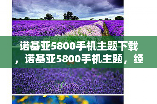 诺基亚5800手机主题下载图片