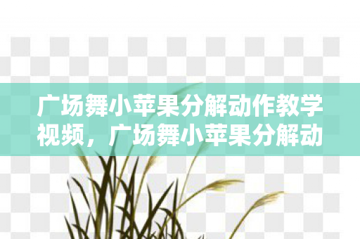 广场舞小苹果分解动作教学视频,广场舞小苹果分解动作,轻松掌握热门舞步 广场舞小苹果分解动作教学视频,广场舞小苹果分解动作,轻松掌握热门舞步