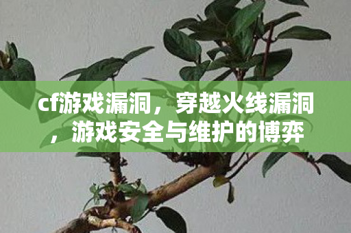 cf游戏漏洞,穿越火线漏洞,游戏安全与维护的博弈 cf游戏漏洞,穿越火线漏洞,游戏安全与维护的博弈