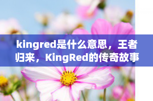 kingred是什么意思，王者归来，KingRed的传奇故事