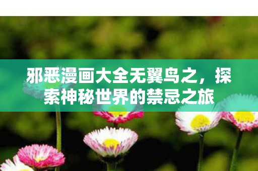 邪恶漫画大全无翼鸟之，探索神秘世界的禁忌之旅