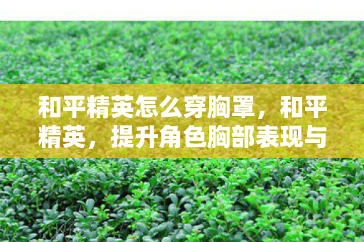 和平精英怎么穿胸罩，和平精英，提升角色胸部表现与装备选择指南