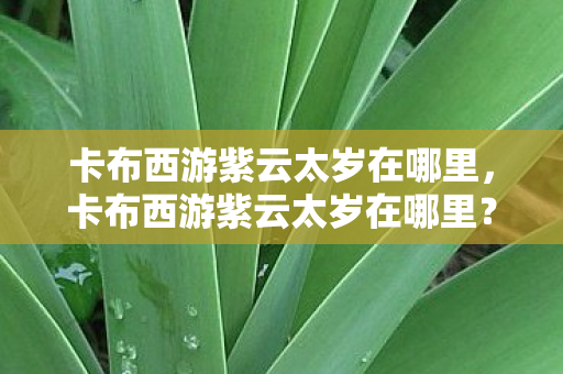 卡布西游紫云太岁在哪里，卡布西游紫云太岁在哪里？