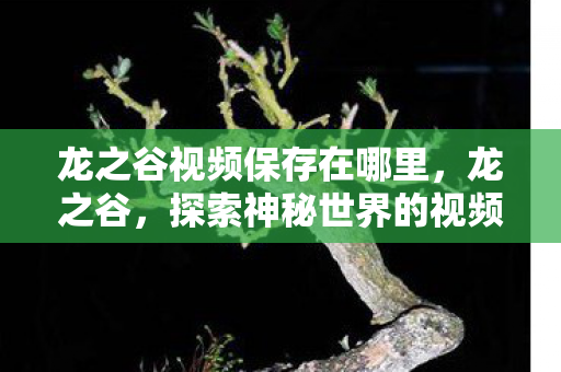 龙之谷视频保存在哪里，龙之谷，探索神秘世界的视频之旅