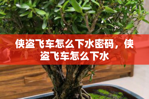 侠盗飞车怎么下水密码，侠盗飞车怎么下水