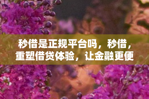 秒借是正规平台吗，秒借，重塑借贷体验，让金融更便捷