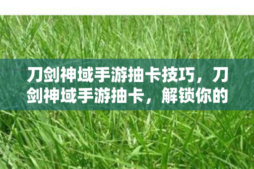 刀剑神域手游抽卡技巧，刀剑神域手游抽卡，解锁你的次元之旅