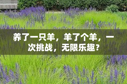 养了一只羊，羊了个羊，一次挑战，无限乐趣？