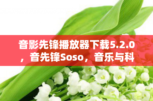 音影先锋播放器下载5.2.0，音先锋Soso，音乐与科技的完美融合