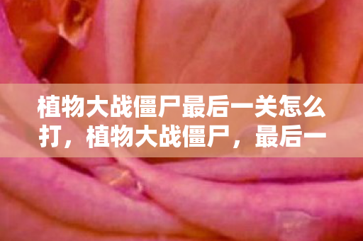 植物大战僵尸最后一关怎么打,植物大战僵尸,最后一关的终极挑战 植物大战僵尸最后一关怎么打,植物大战僵尸,最后一关的终极挑战