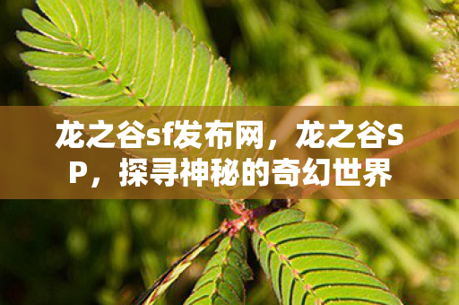 龙之谷sf发布网，龙之谷SP，探寻神秘的奇幻世界
