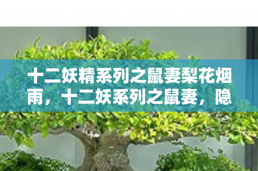 十二妖精系列之鼠妻梨花烟雨，十二妖系列之鼠妻，隐秘而强大的存在