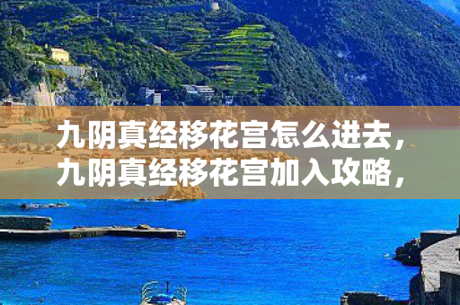 九阴真经移花宫怎么进去，九阴真经移花宫加入攻略，解锁神秘门派，开启武侠新篇章