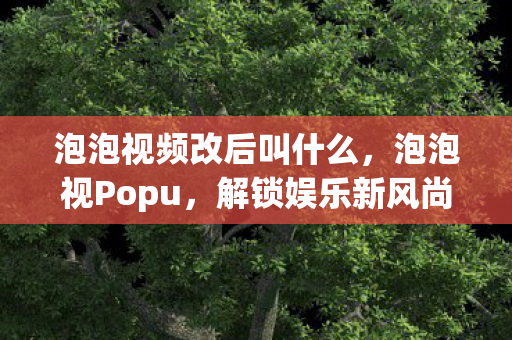 泡泡视频改后叫什么，泡泡视Popu，解锁娱乐新风尚，探索无限可能