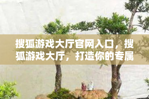 搜狐游戏大厅官网入口，搜狐游戏大厅，打造你的专属游戏乐园