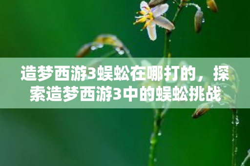造梦西游3蜈蚣在哪打的，探索造梦西游3中的蜈蚣挑战，解锁隐藏关卡与战斗策略