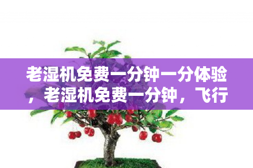 老湿机免费一分钟一分体验，老湿机免费一分钟，飞行员的那些不为人知的幕后故事