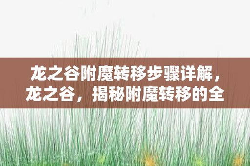 龙之谷附魔转移步骤详解，龙之谷，揭秘附魔转移的全面解析